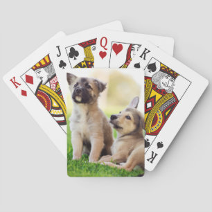 Zwei deutsche HirtenWelpen Spielkarten