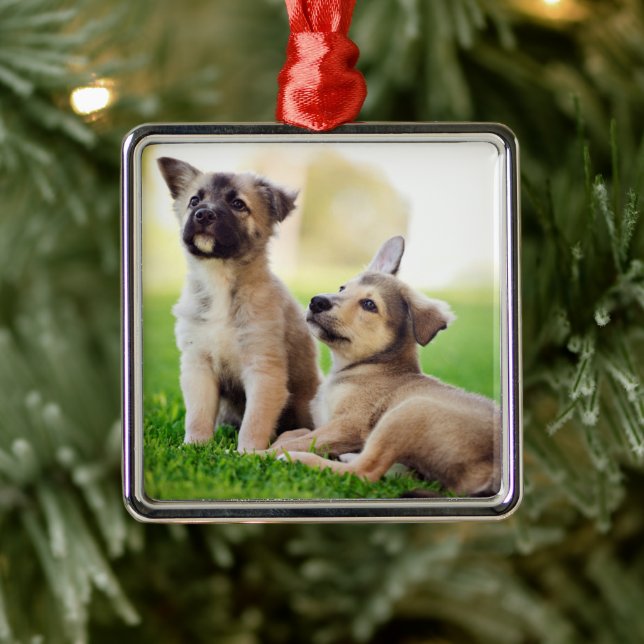 Zwei deutsche Schäferwelpen Ornament Aus Metall (Baum)
