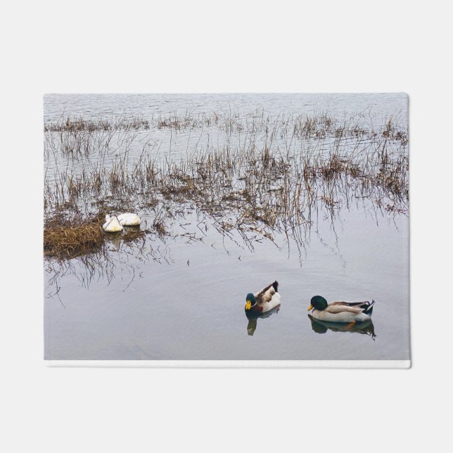 Zwei Duckpaare Fußmatte (Vorderseite)