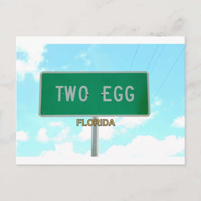 ZWEI EGG, FLORIDA POSTKARTE (Vorderseite)
