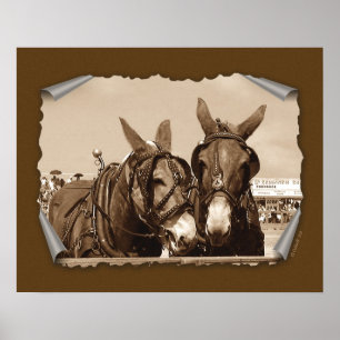 Zwei einer Art Poster