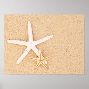 Zwei einfache Starfish Poster