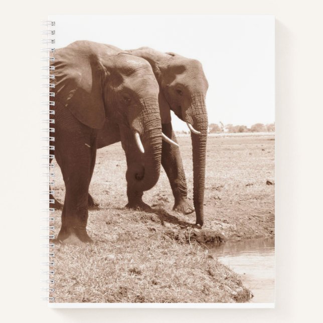 Zwei Elephant Spiral Notebook-Uni Notizbuch (Vorderseite)