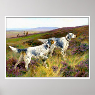 Zwei englische Setter in einem Feld - Arthur Wardl Poster