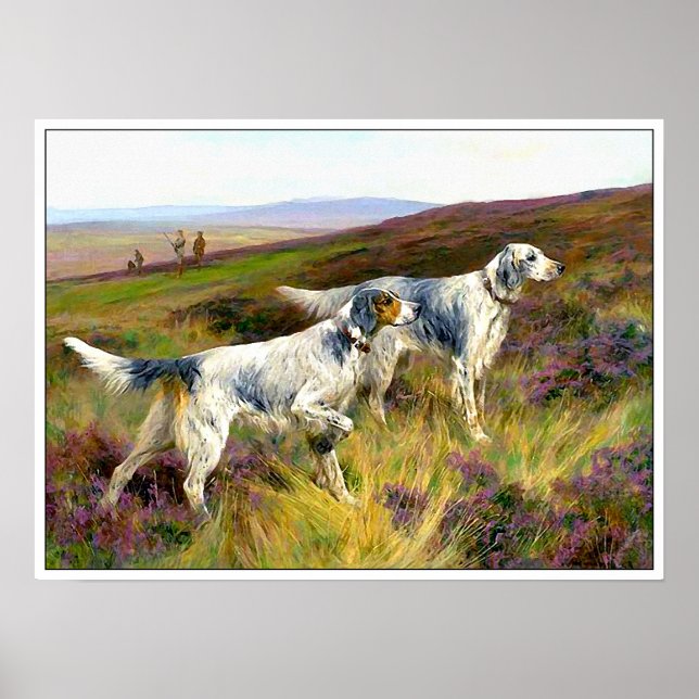 Zwei englische Setter in einem Feld - Arthur Wardl Poster (Vorne)