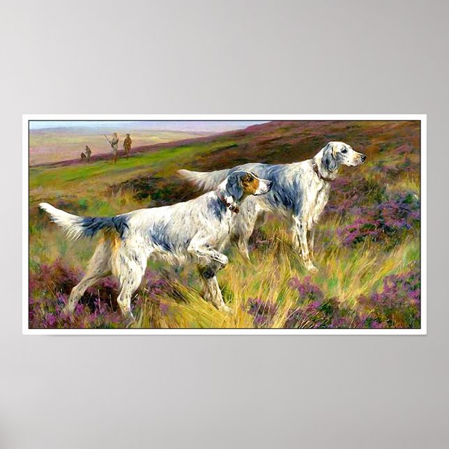 Zwei englische Setter in einem Feld - Arthur Wardl Poster (Vorne)