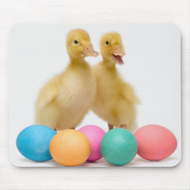 Zwei Enten mit Ostereiern Mousepad (Vorne)