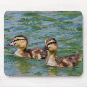 zwei Entlein mousepad