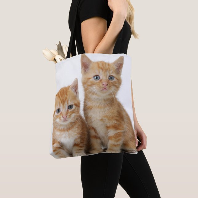 Zwei entzückende Kätzchen Tasche (Von Nahem)