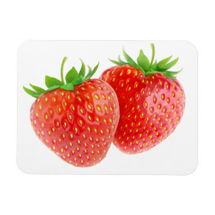 Zwei Erdbeeren Magnet