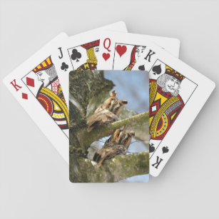 Zwei Eulen im Wald, Vögel, wild lebende Tiere Spielkarten