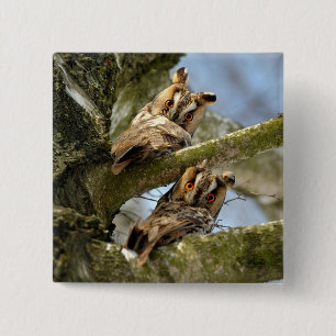 Zwei Eulen im Wald, Vögel, Wildtier Button