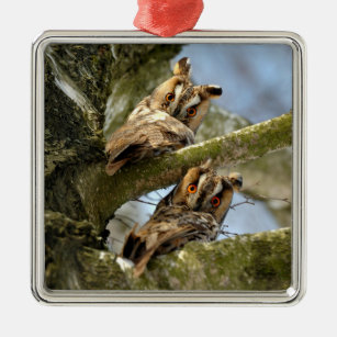 Zwei Eulen im Wald, Vögel, Wildtiere Metal Ornam Ornament Aus Metall