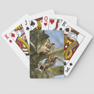 Zwei Eulen im Wald, Vögel, Wildtiere Spielkarten