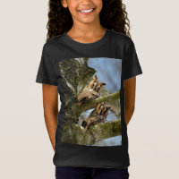 Zwei Eulen im Wald, Vögel, Wildtiere