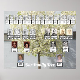 Zwei Familienbaumblüten-Foto | Name Poster