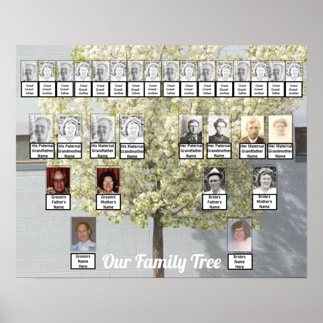 Zwei Familienbaumblüten-Foto | Name Poster (Vorne)