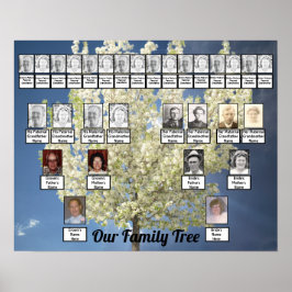 Zwei Familienbäume blühen Foto | Blue Sky Poster