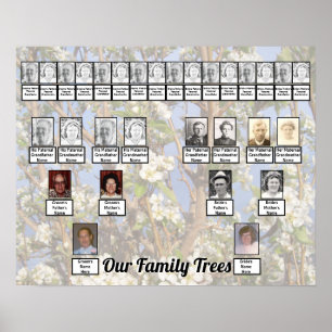 Zwei Familienstammbäume auf weißen Blüten Foto Poster