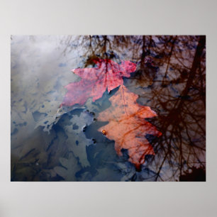 Zwei farbenfrohe Herbstuntergänge im Wasser Poster