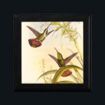 Zwei farbenfrohe Hummingbirds streben nach derselb Erinnerungskiste<br><div class="desc">Der Künstler John Gould war leidenschaftlich für Vögel. In diesem farbigen zeichn sind die beiden Kolibris und die Blume wunderschön dargestellt. Die Details dieser farbenfrohen Kunst werden jeden Kunstliebhaber begeistern.</div>