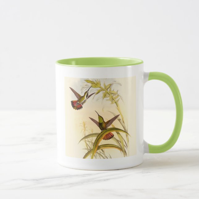 Zwei farbenfrohe Hummingbirds streben nach derselb Tasse (Rechts)