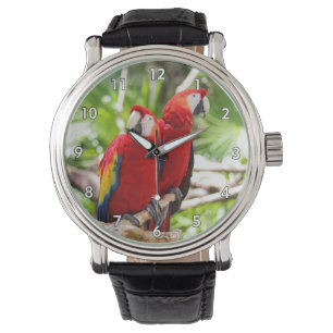 Zwei farbenfrohe Papageien auf einem Baumzweig Armbanduhr