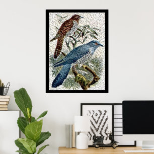 Zwei farbige Kuckucksumpfe in texturiertem Poster
