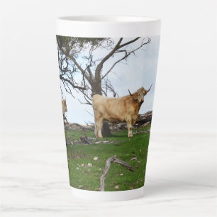 Zwei Fawn Highland Kühe in Friedlichen Landgebiete Milchtasse