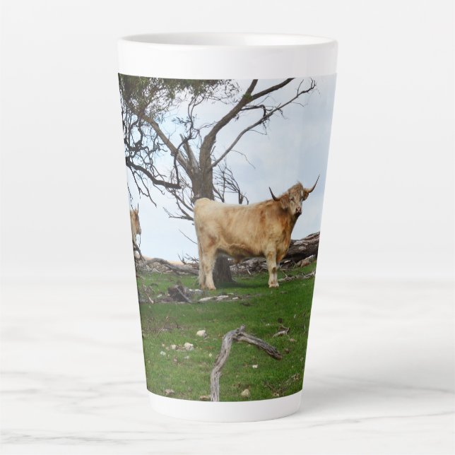 Zwei Fawn Highland Kühe in Friedlichen Landgebiete Milchtasse (Vorderseite)