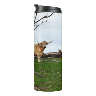 Zwei Fawn Highland Kühe in Friedlichen Landgebiete Thermosbecher