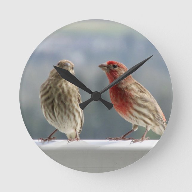 Zwei Finches flirten. Runde Wanduhr (Vorderseite)