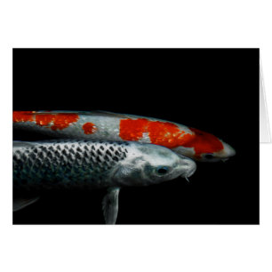 Zwei Fische