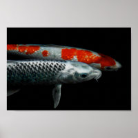 Zwei Fische