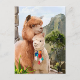 Zwei flauschige Alpakas am Seeufer Postkarte