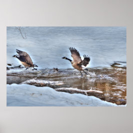 Zwei Flying Canada Gänse und Winter Pond Wildlife Poster