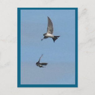 Zwei Flying House Martins DIY Postkarte