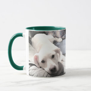 Zwei Foto Adorable Lazy White Puppy auf Couch  Tasse