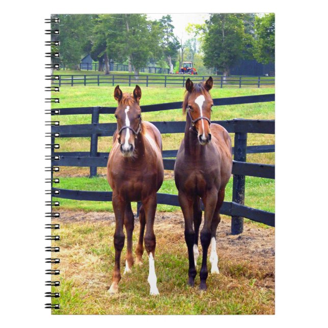 Zwei Freunde Notizblock (Vorderseite)