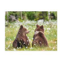 Zwei Freunde tragen Postkarte