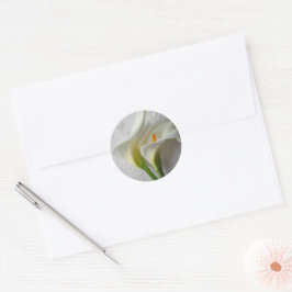 Zwei frische Calla-Lilien Runder Aufkleber