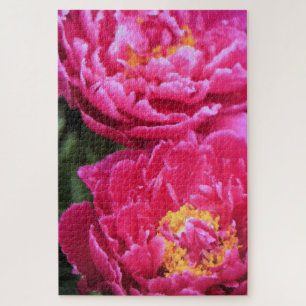 Zwei Fuchsia Peony Blooms Gemälde
