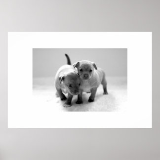 Zwei für eins poster