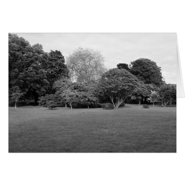 Zwei für Joy (Vorderseite (Horizontal))