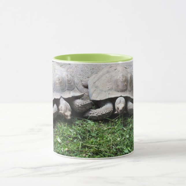 Zwei fütternd Schildkröten Tasse (Zentrum)