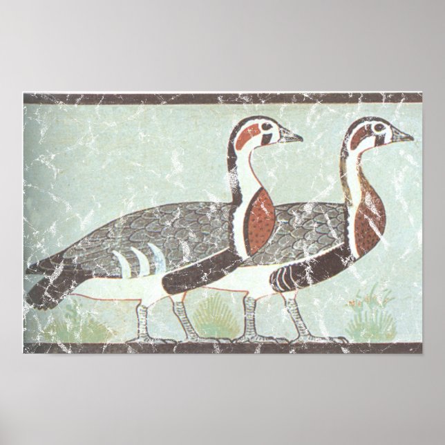 Zwei Gänse Poster (Vorne)