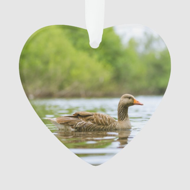 Zwei Gänse Wildlife Lake Ded Foto Custom Ornament (Vorderseite)