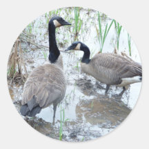 Zwei Gänseaufkleber