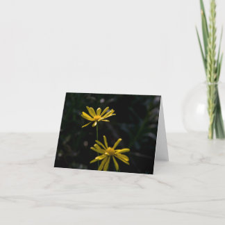 Zwei Gänseblümchen-Blumen Karte