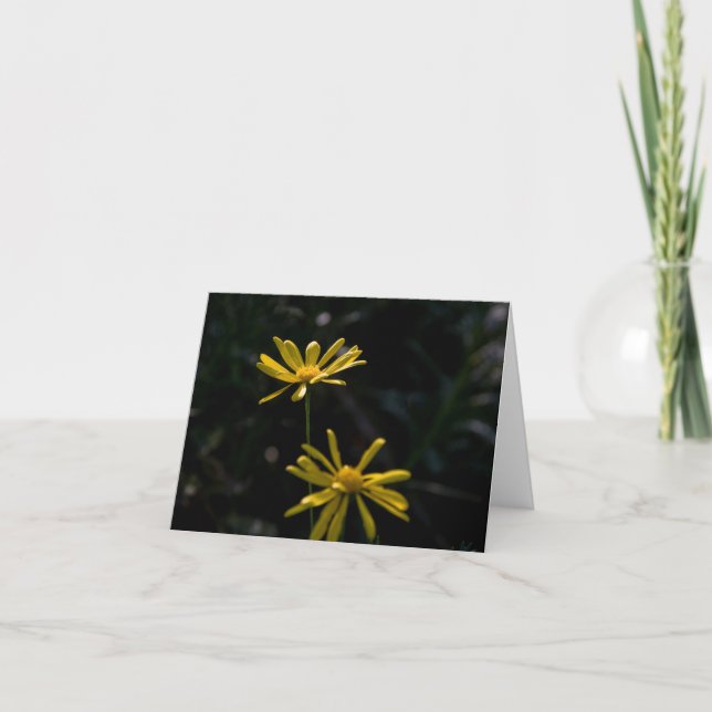 Zwei Gänseblümchen-Blumen Karte (Vorderseite)